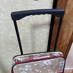 キャリーバックの画像