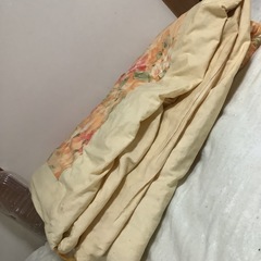☺️掛布団　S 150✖️198cm 朱色に花柄の画像