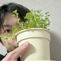 急募　いまから飲める人遊べる人