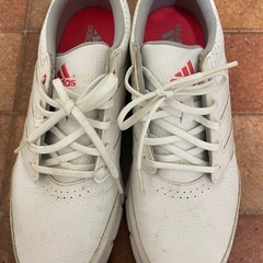 adidas★golfシューズ