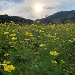 人にはまだ希望がある⭐︎