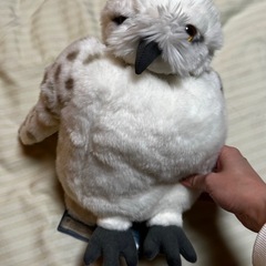 ハリーポッターヘドウィグぬいぐるみ