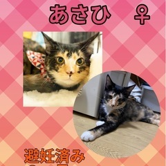 可愛い３兄妹