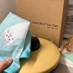 ねこのきもち付録catch me if you can中古品
