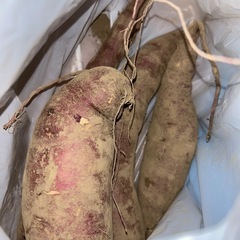 [期間限定大特価]さつまいも　1kg400円