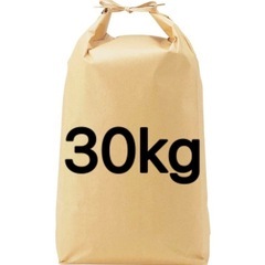 令和6年度産　お米　30kg(大阪)