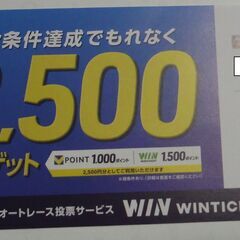 ウィンチケット（WINTICKET）SPECIAL　優待券