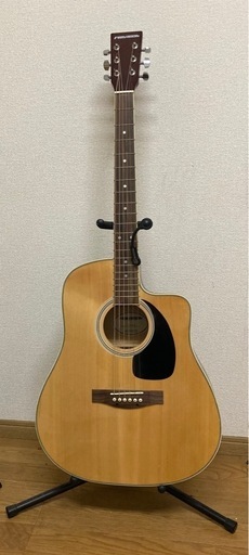 Playtech エレアコ　D-7 EC アコースティックギター