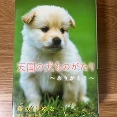 小学生向け動物系小説 ・4冊セット（美品）の画像