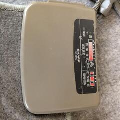 ホットカ―ペットの画像