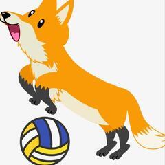 バレーボールに興味ある方募集中