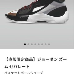 半額 NIKE　ジョーダンズーム セパレート 26センチ