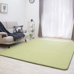 【譲ります】カーペット　200✖️250㎝　中古