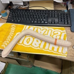 ブーメラン