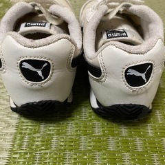PUMA 16㎝の画像