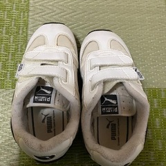 PUMA 16㎝の画像