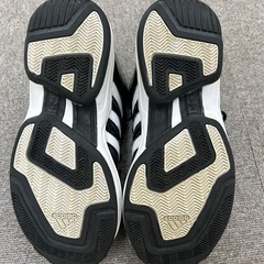 adidas pro model 2G 　25センチの画像