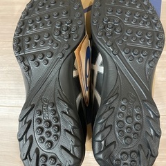 トレシュー25.5cmアシックスDS Light黒の画像