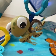 ニモ　ベビージム
の画像