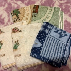 ハンドタオル5枚セット