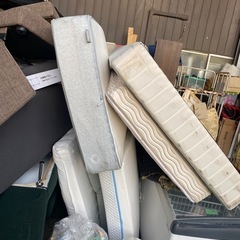 冷蔵庫、洗濯機、ベット、ソファの画像