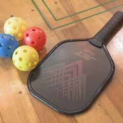 12/15(日)17-19時 ピックルボール会（墨俣）