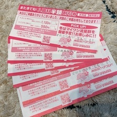 南知多ビーチランド半額券２枚