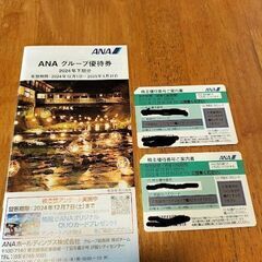 【最新】ANAグループ優待券　2枚　2024年12月1日～202...