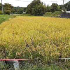 倶楽部会員募集してます。