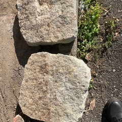 無料無料の画像