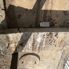 無料無料の画像