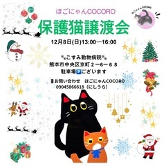 🐾可愛いほごにゃん猫が沢山参加します。🐾