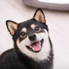 楽しくお話ししましょう！