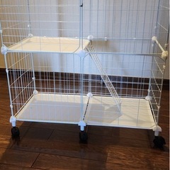 コネコ　子猫用　【新品】ゲージ　　の画像