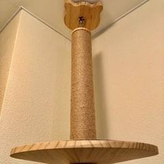 美品　RAKU キャットタワー　