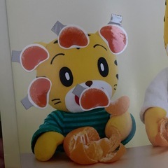 こどもちゃれんじぷち本誌１２冊セットの画像