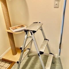 美品　RAKU キャットタワー　の画像
