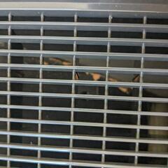 空気清浄機　パナソニックの画像