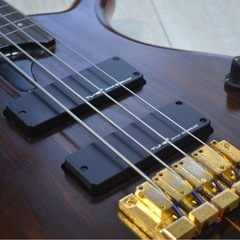 TUNE TWB-4 ベース フレットレス の画像