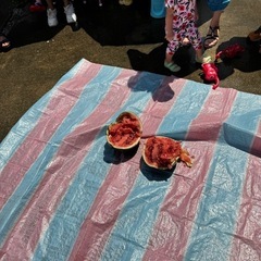 保育　保育園　保育補助　補助　9時〜16時半頃　週に1日〜　資格不要の画像