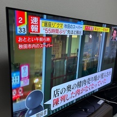 SHARP 48インチ 4K 有機ELテレビ ネット 2022年