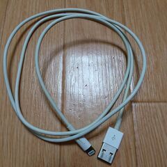 ※お話し中※【無料】【全国発送可能】Lightning（ライトニ...