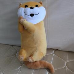 ✨新品✨可愛い嘘のカワウソ