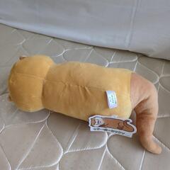 ✨新品✨可愛い嘘のカワウソの画像