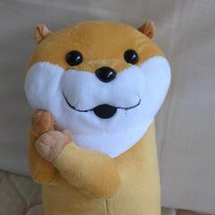 ✨新品✨可愛い嘘のカワウソの画像