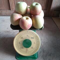ふじりんご2kg　色づき不良です