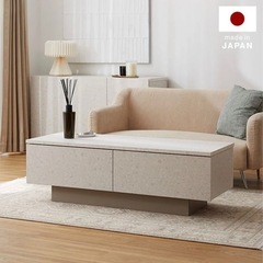 LOWYA テラゾー柄　センターテーブル