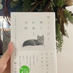 新品☆捨てられた僕と母猫と奇跡