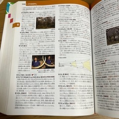 定価6500円 小学百科大事典 ジャポニカの画像