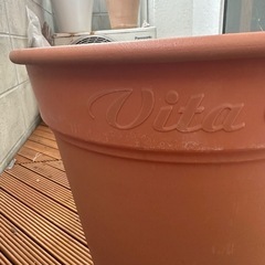 植物⚪︎園芸⚪︎花⚪︎鉢の画像
